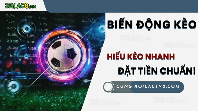 Biến động kèo bóng đá – Nhận diện kèo thơm và kèo dụ nhanh chóng